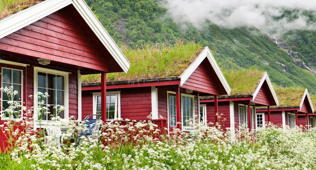 Green roofing benefits
