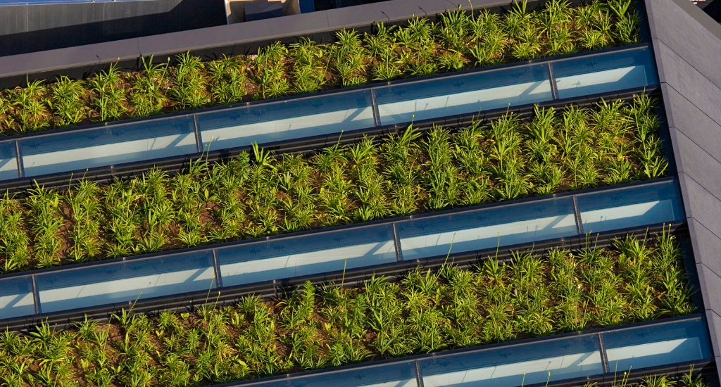 View of Environmental Benefits of Green Roofing & Why You Should Consider It