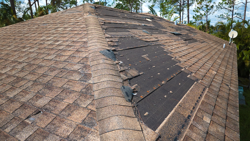 Damaged and Missing Shingles as signs of roof damage