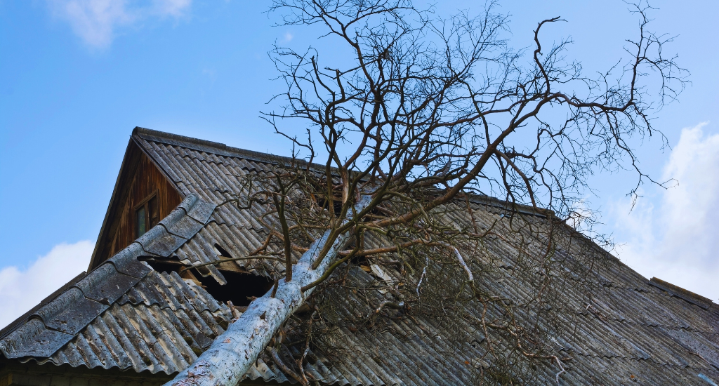 Roof damage by trees