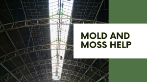 Mold and moss on your roof